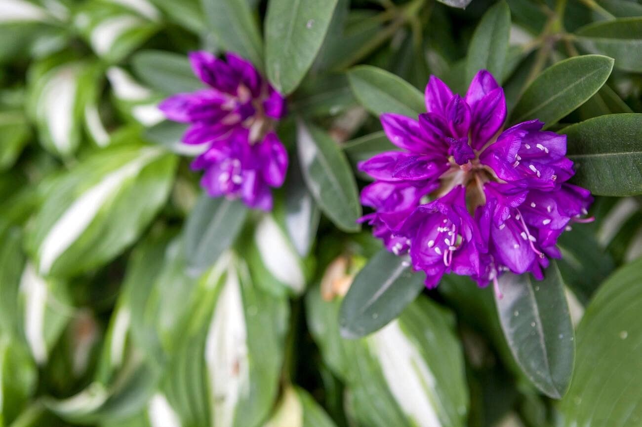 blog-images
