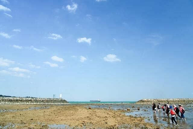 blog-images