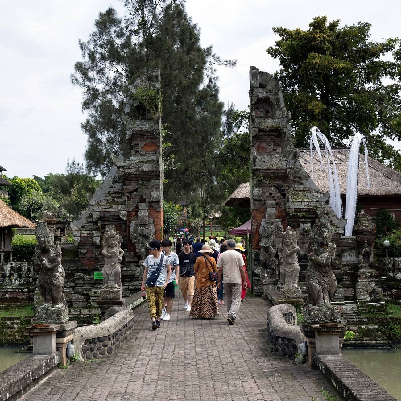 blog-images