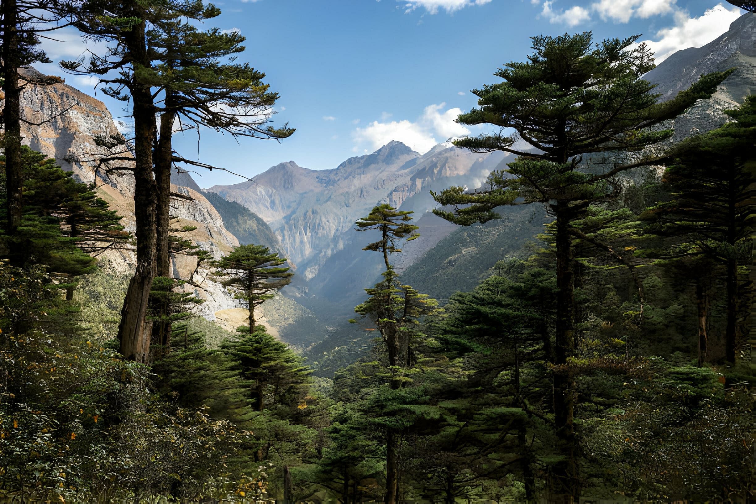 blog-images