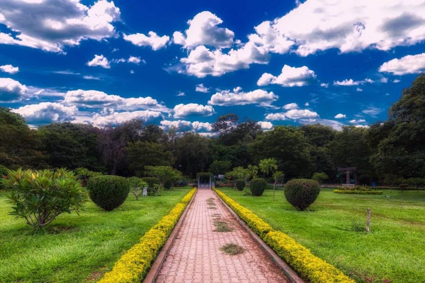 blog-images