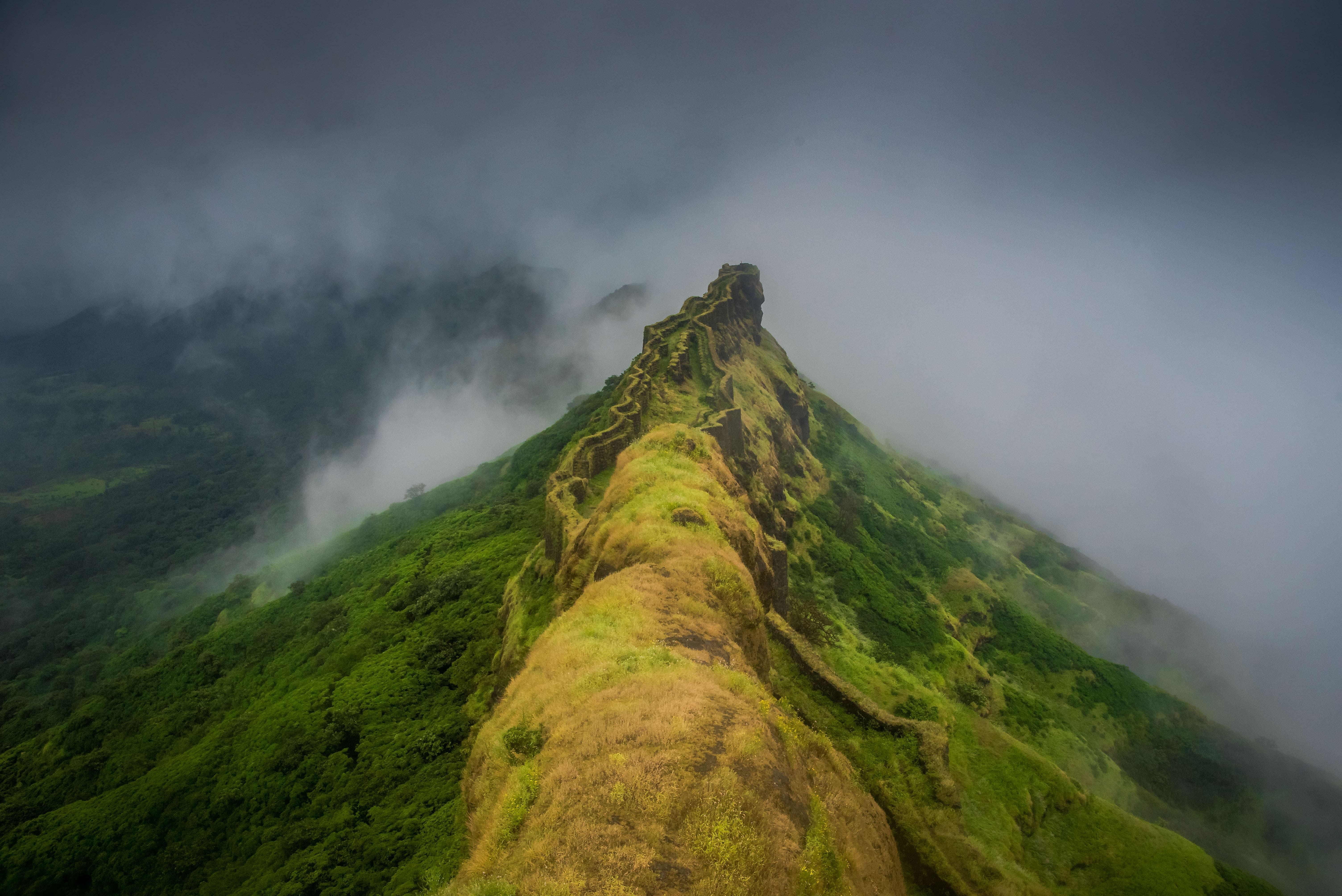 blog-images