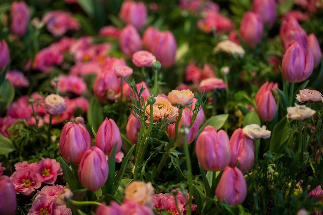 blog-images
