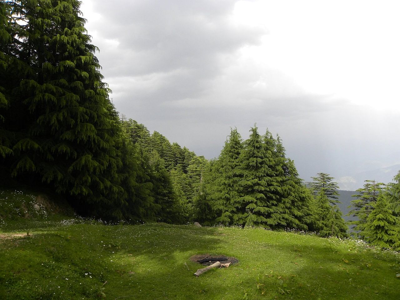 blog-images