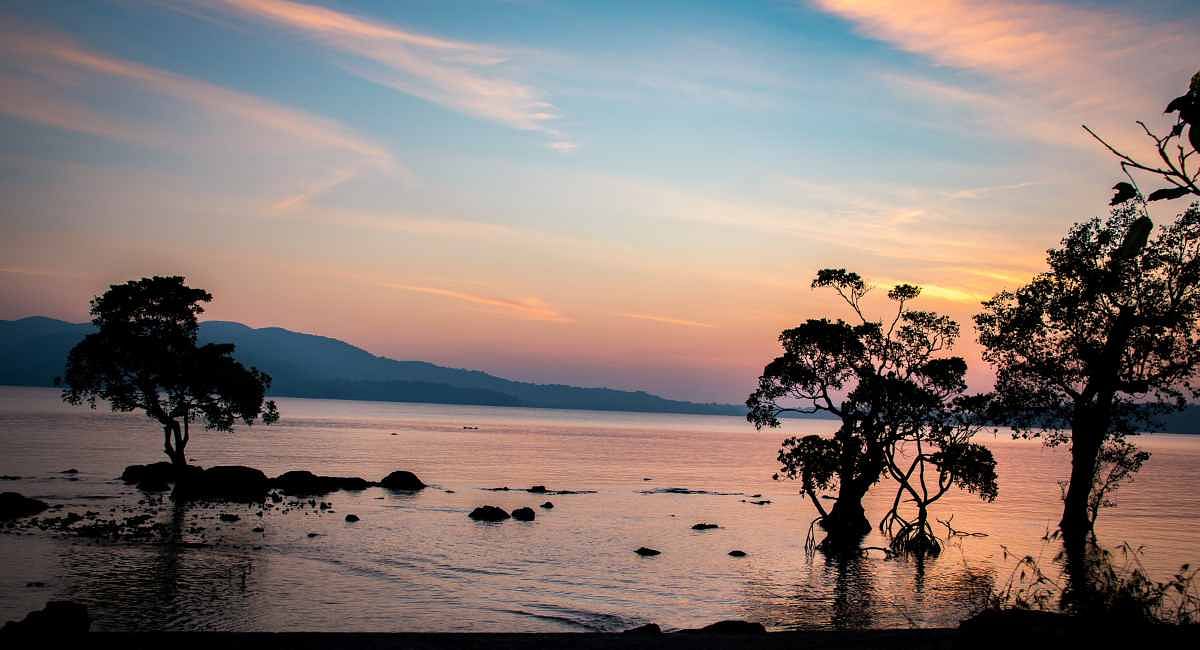 blog-images
