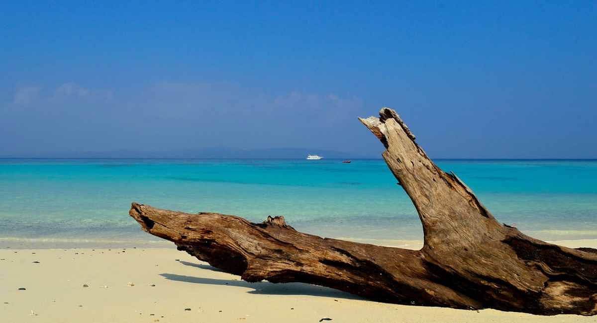 blog-images