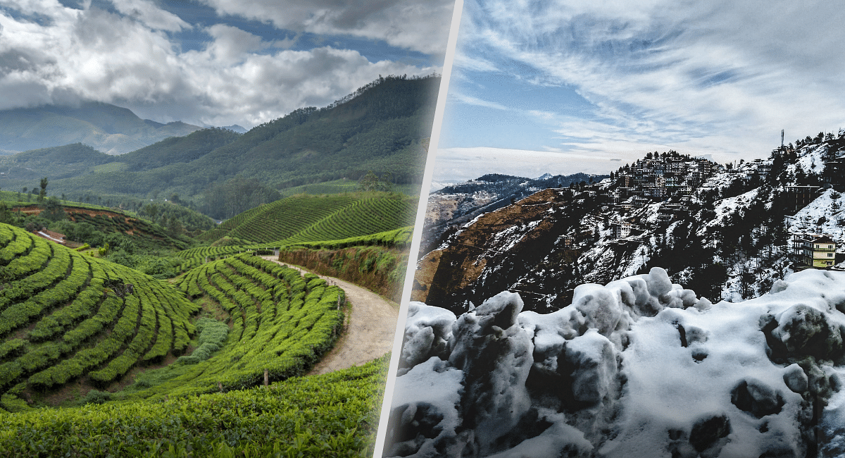 darjeeling-vs.-shimla