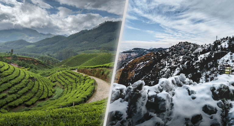 darjeeling-vs.-shimla