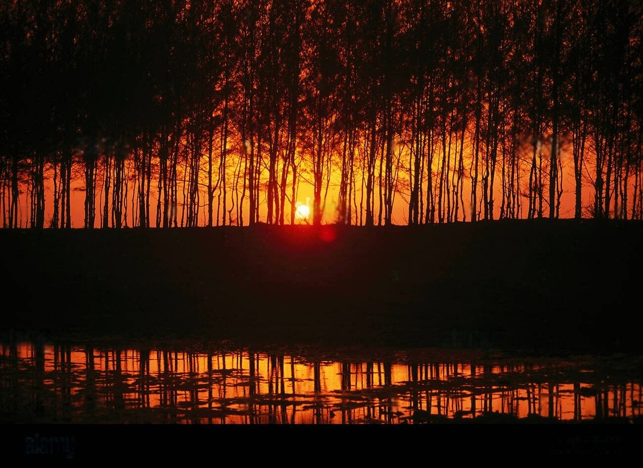 blog-images