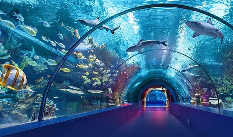 dwarka-underwater-fish-tunnel