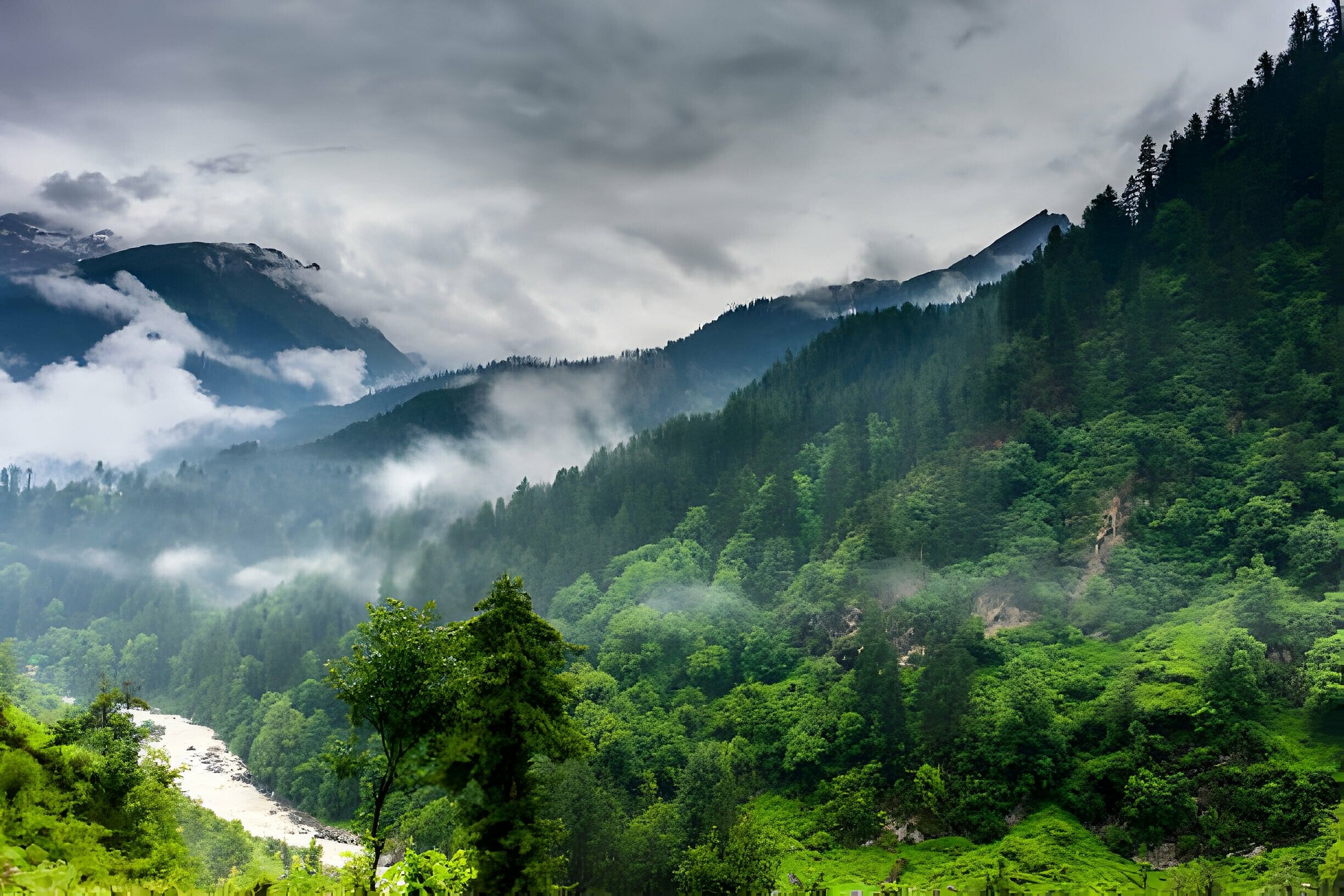 blog-images