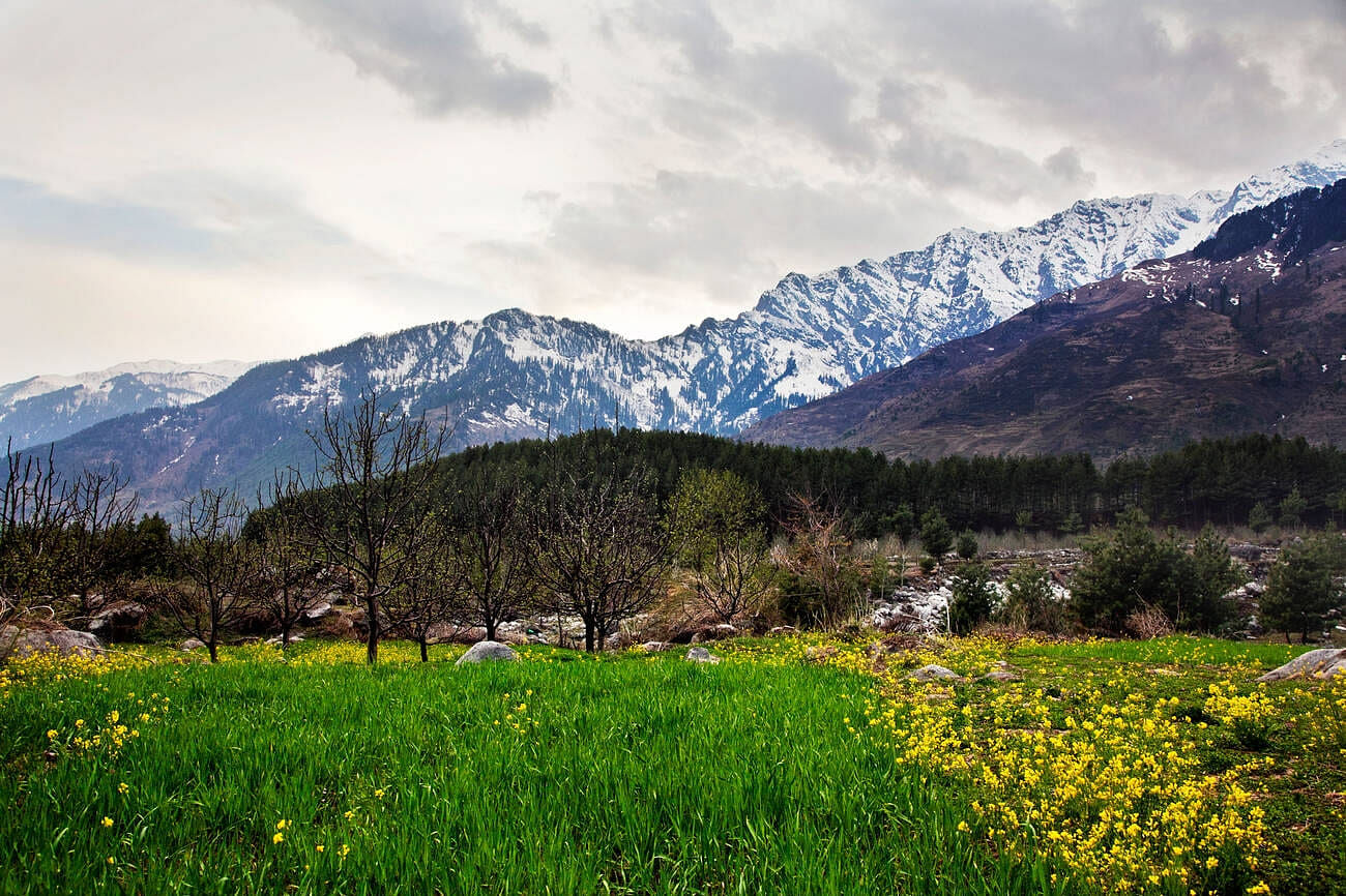 honeymoon-places-in-india