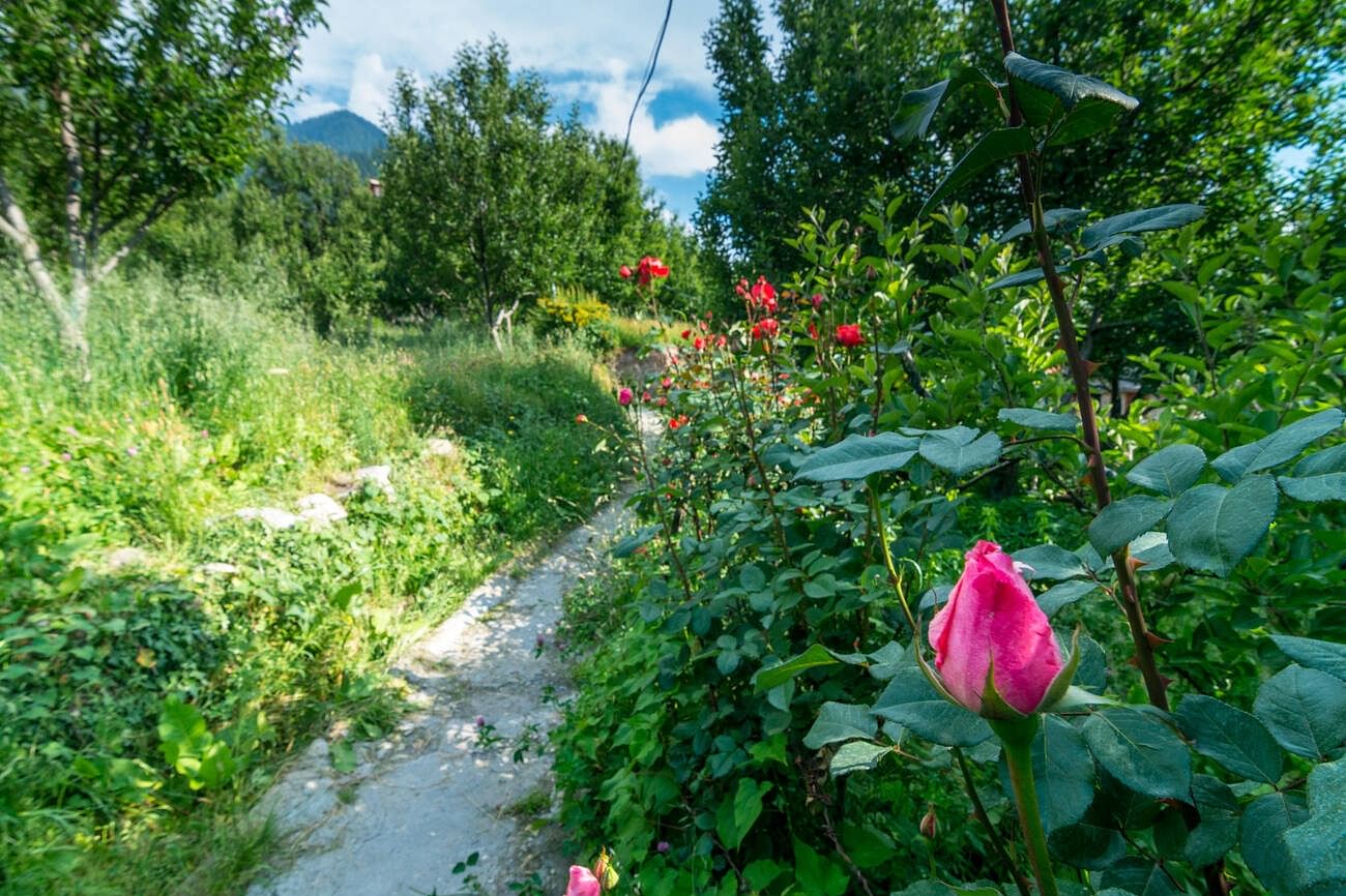 blog-images