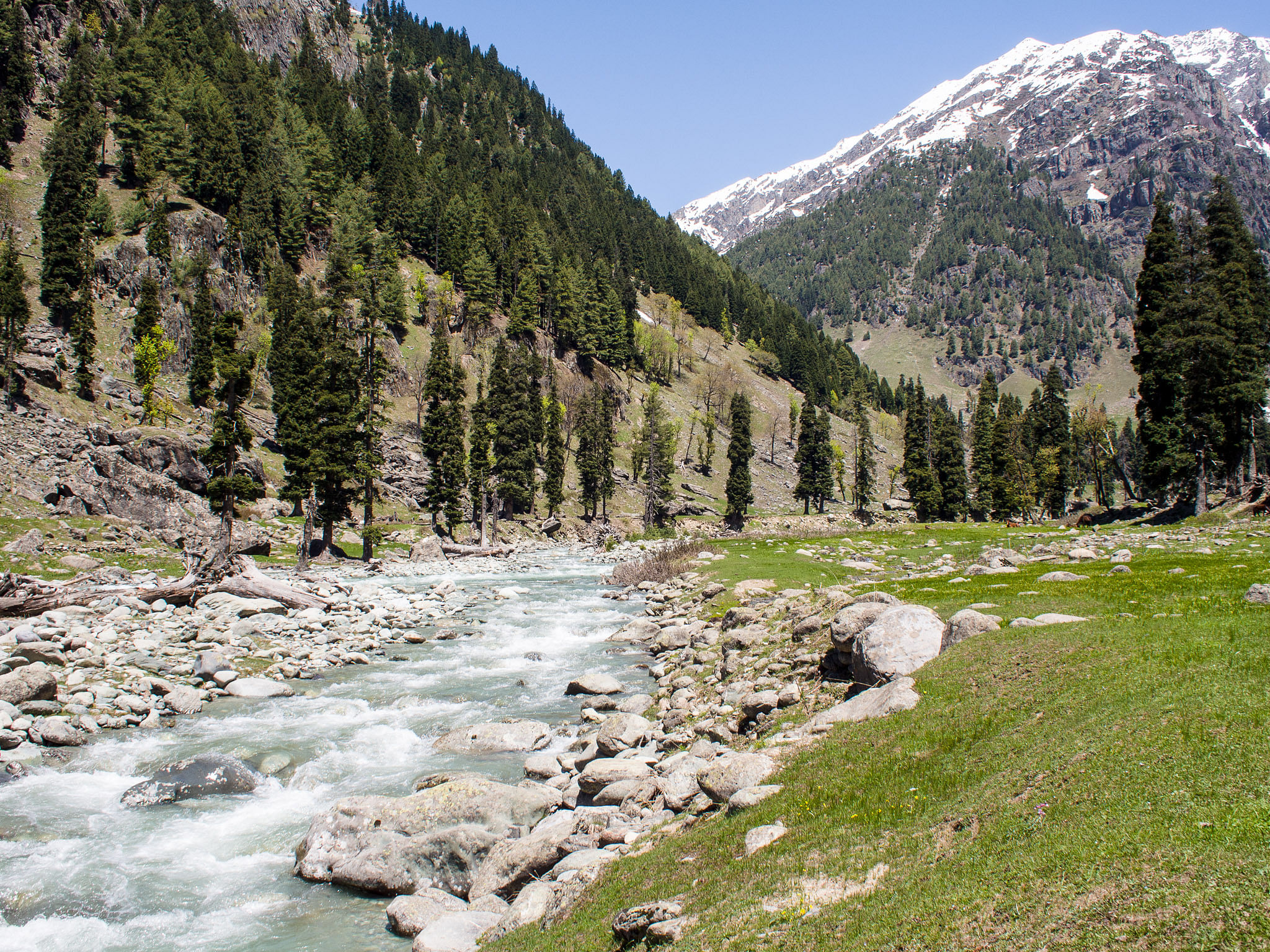 blog-images