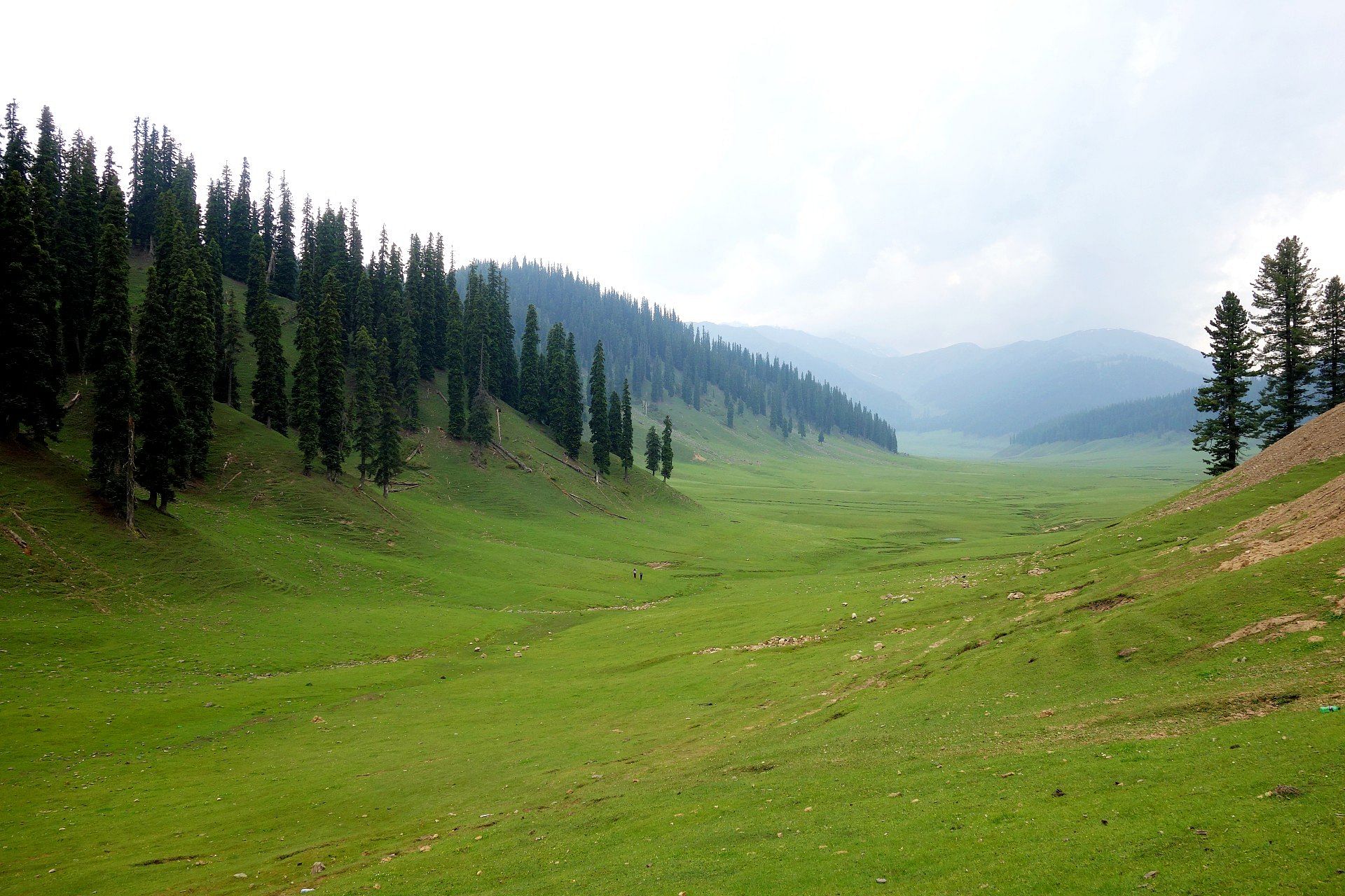 blog-images