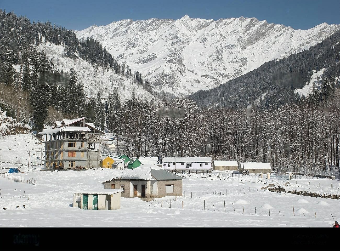 blog-images