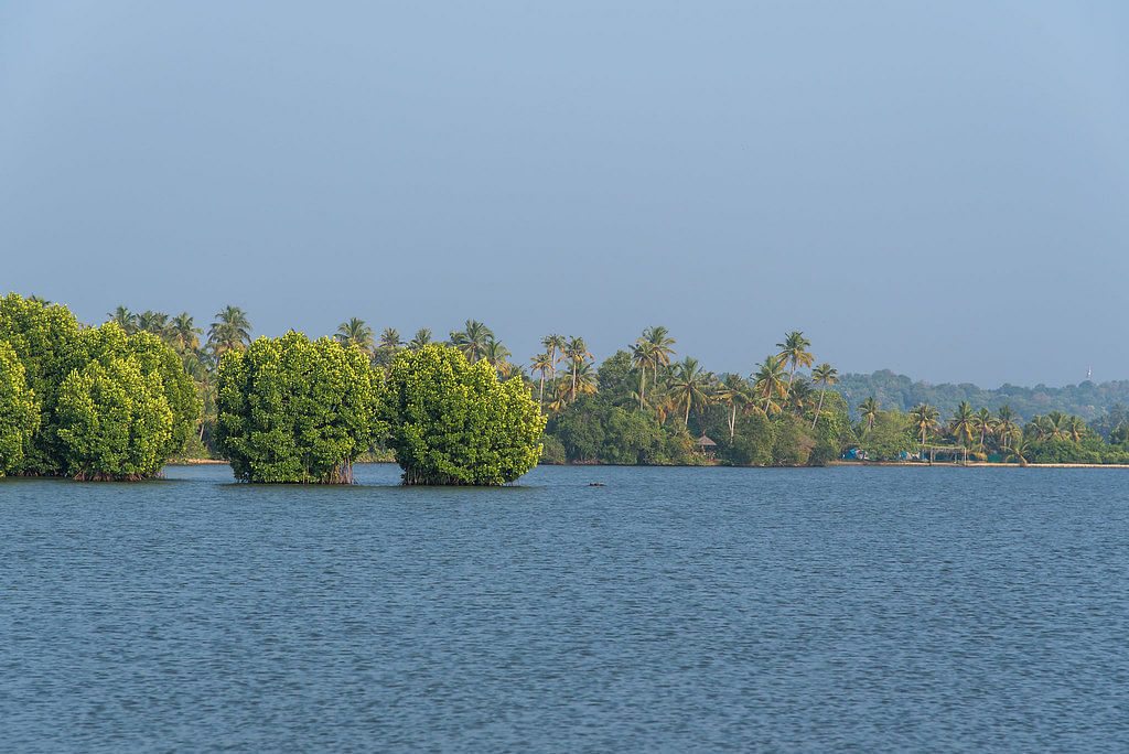 blog-images