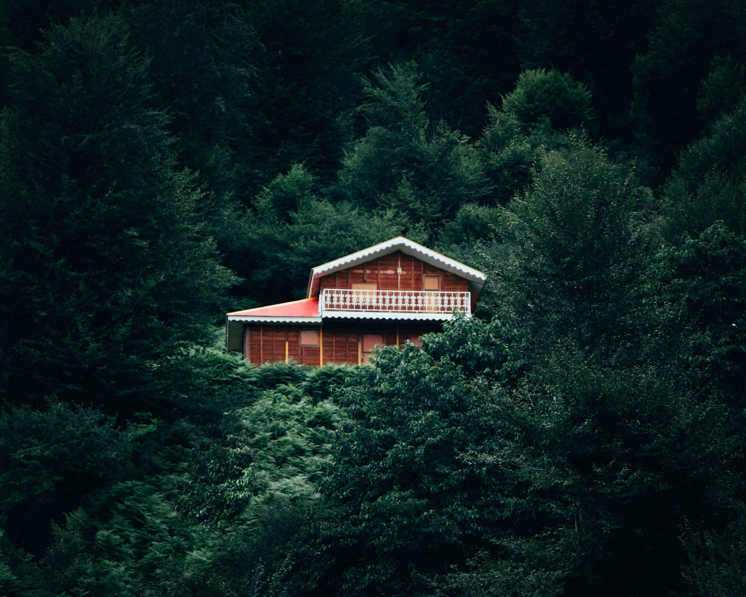 blog-images