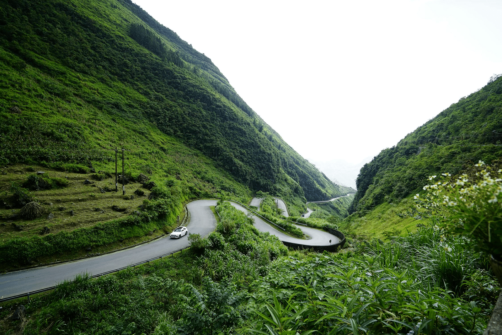 blog-images
