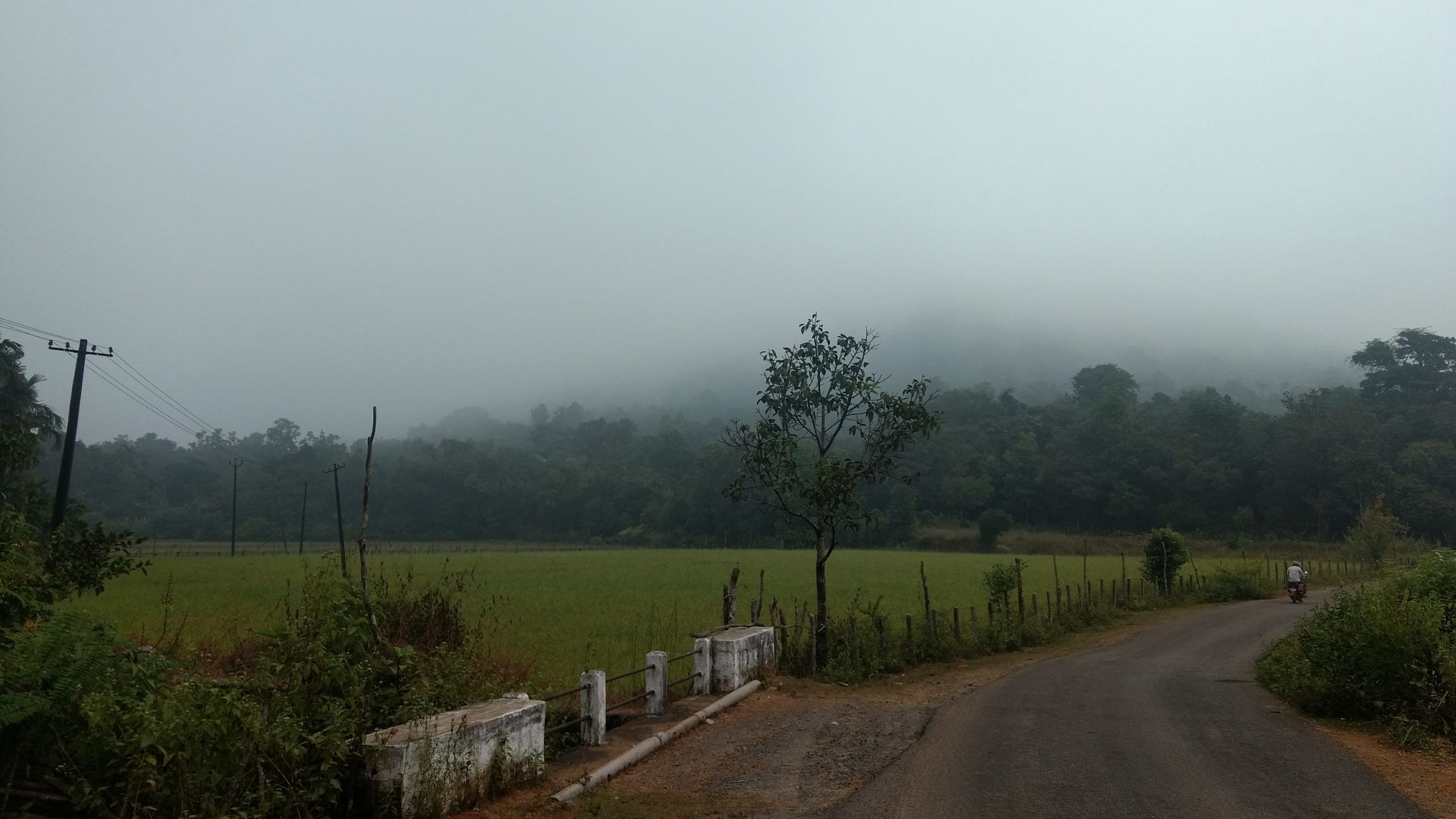 blog-images