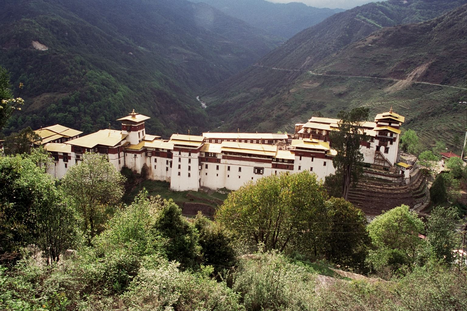 blog-images