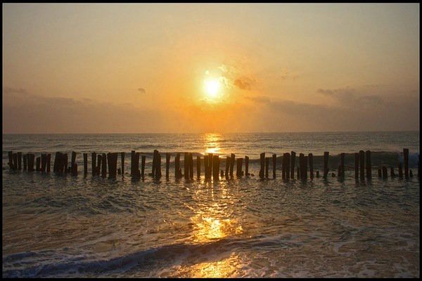 blog-images