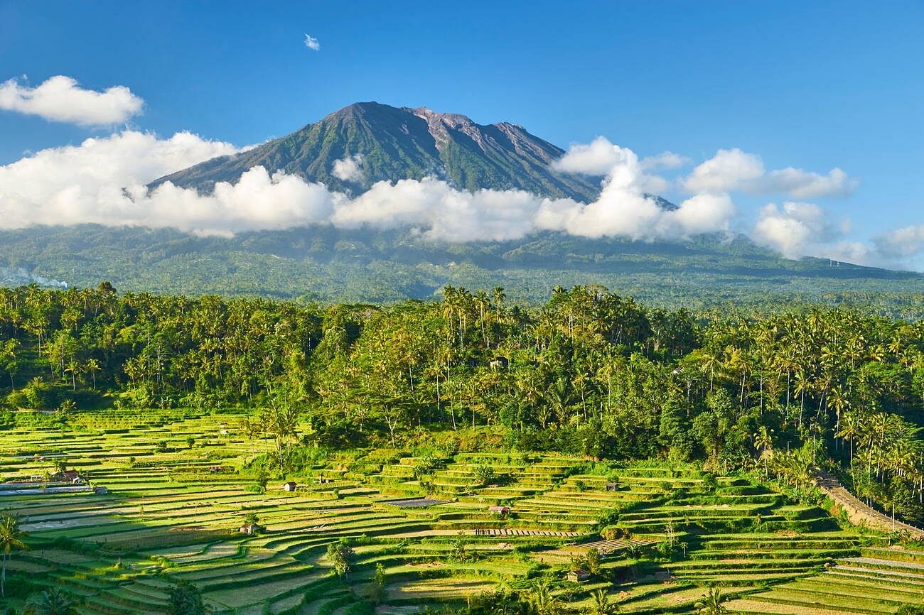 bali