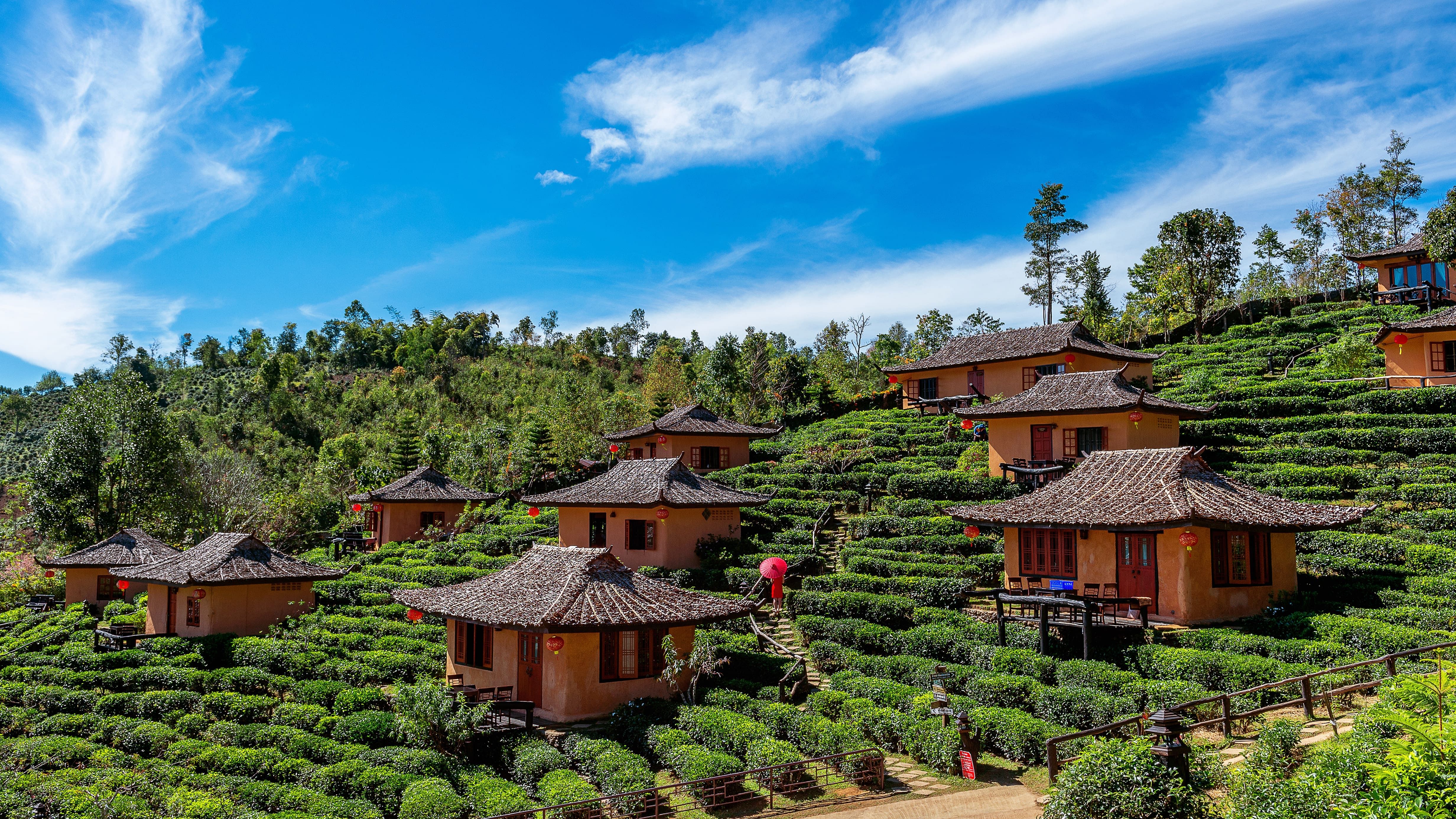 homestays-in-jibhi