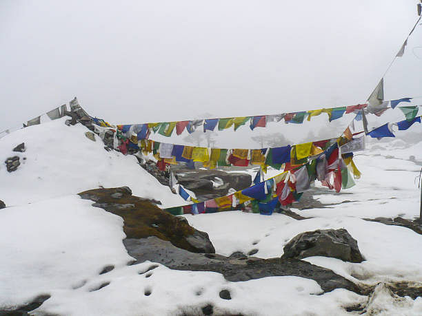 blog-images