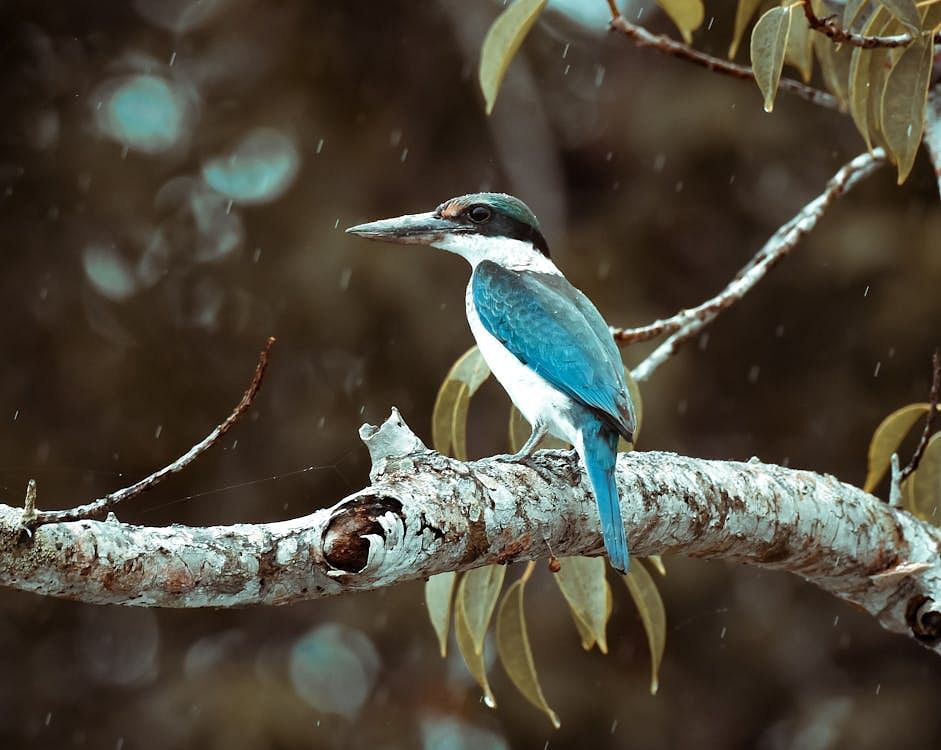 blog-images