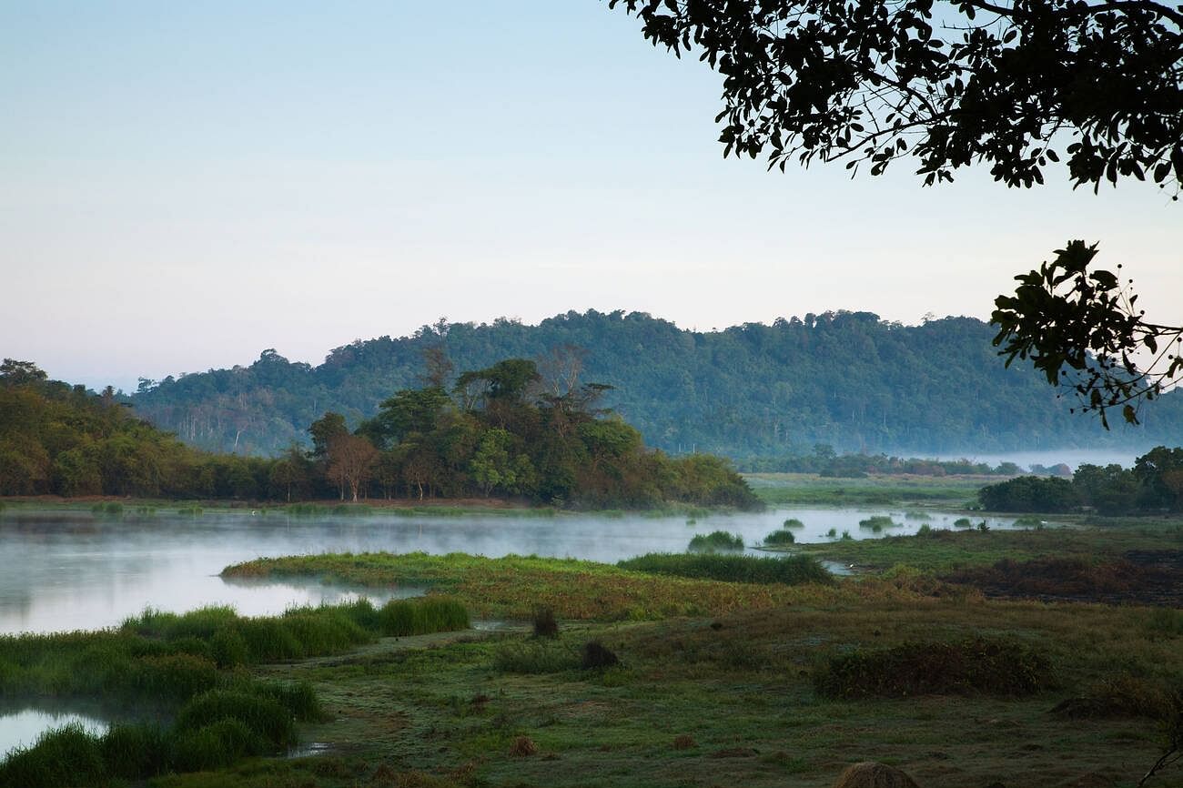 cat-tien-national-park