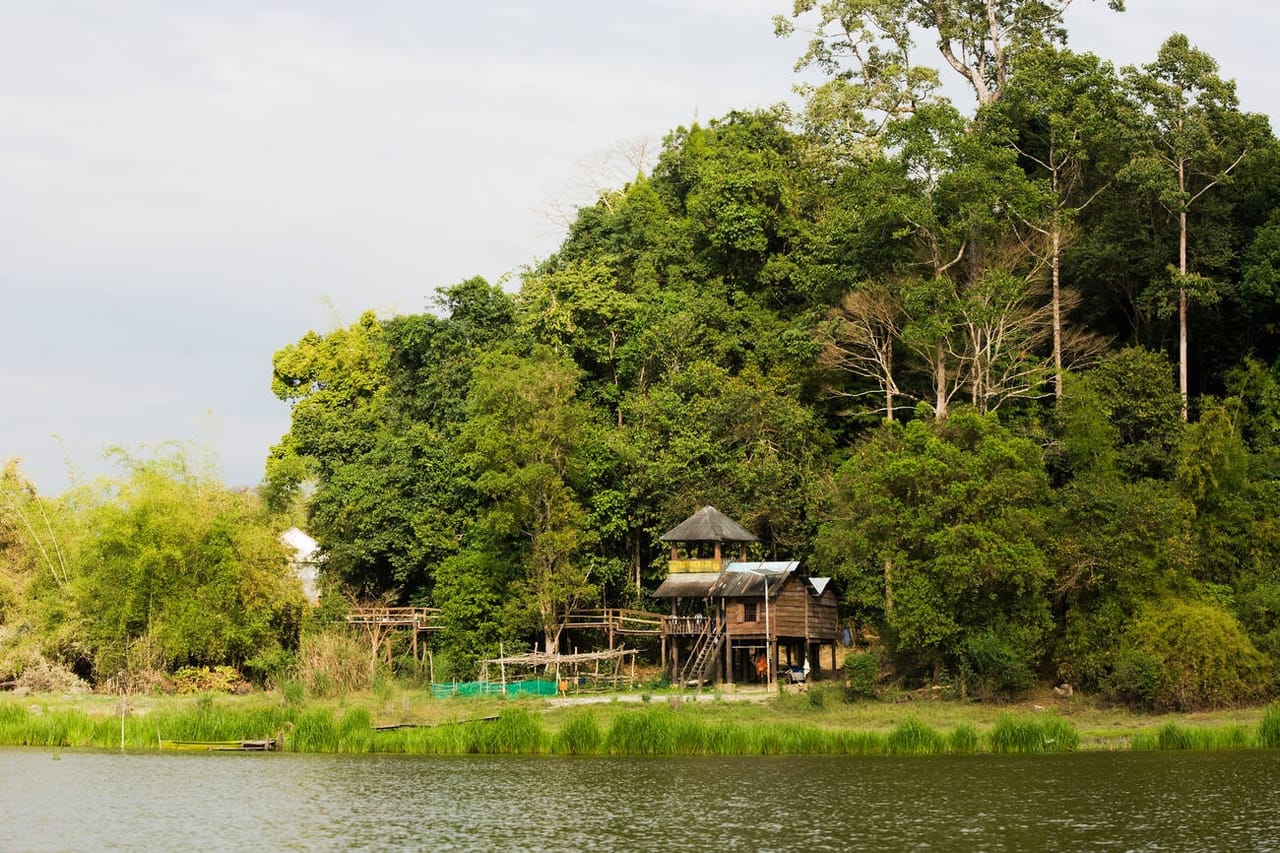 Cat Tien National Park: Exploring Vietnam’s Natural Heaven