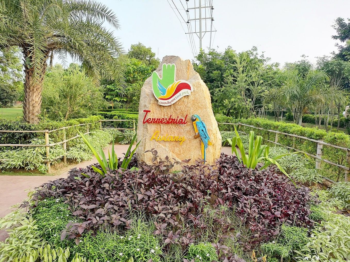 blog-images