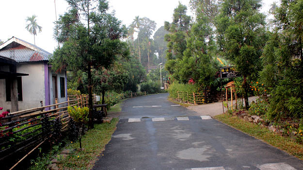 blog-images