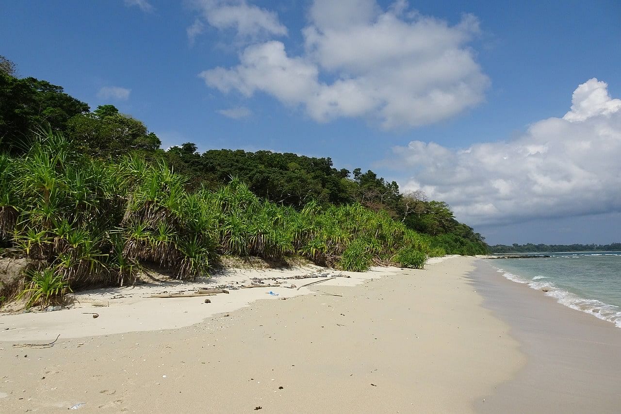 blog-images