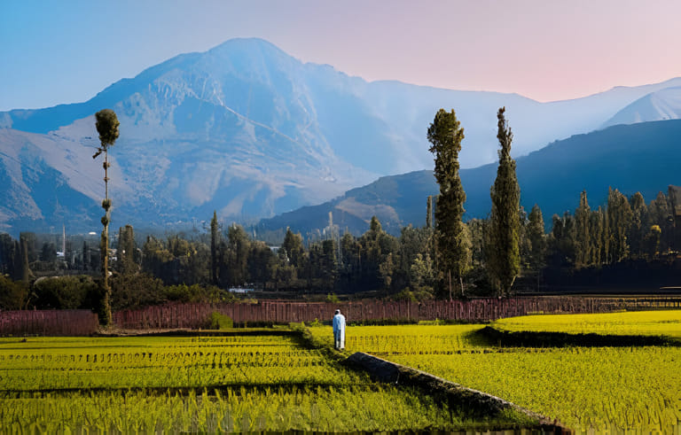 dachigam-national-park