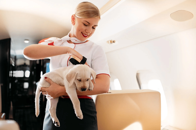 flying-with-pets-policy