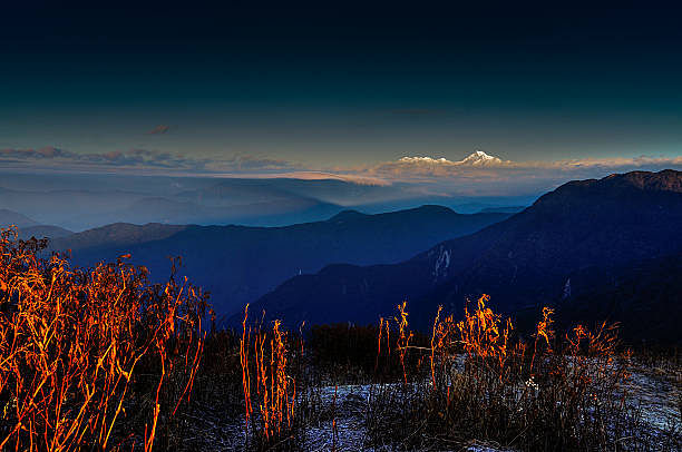 blog-images