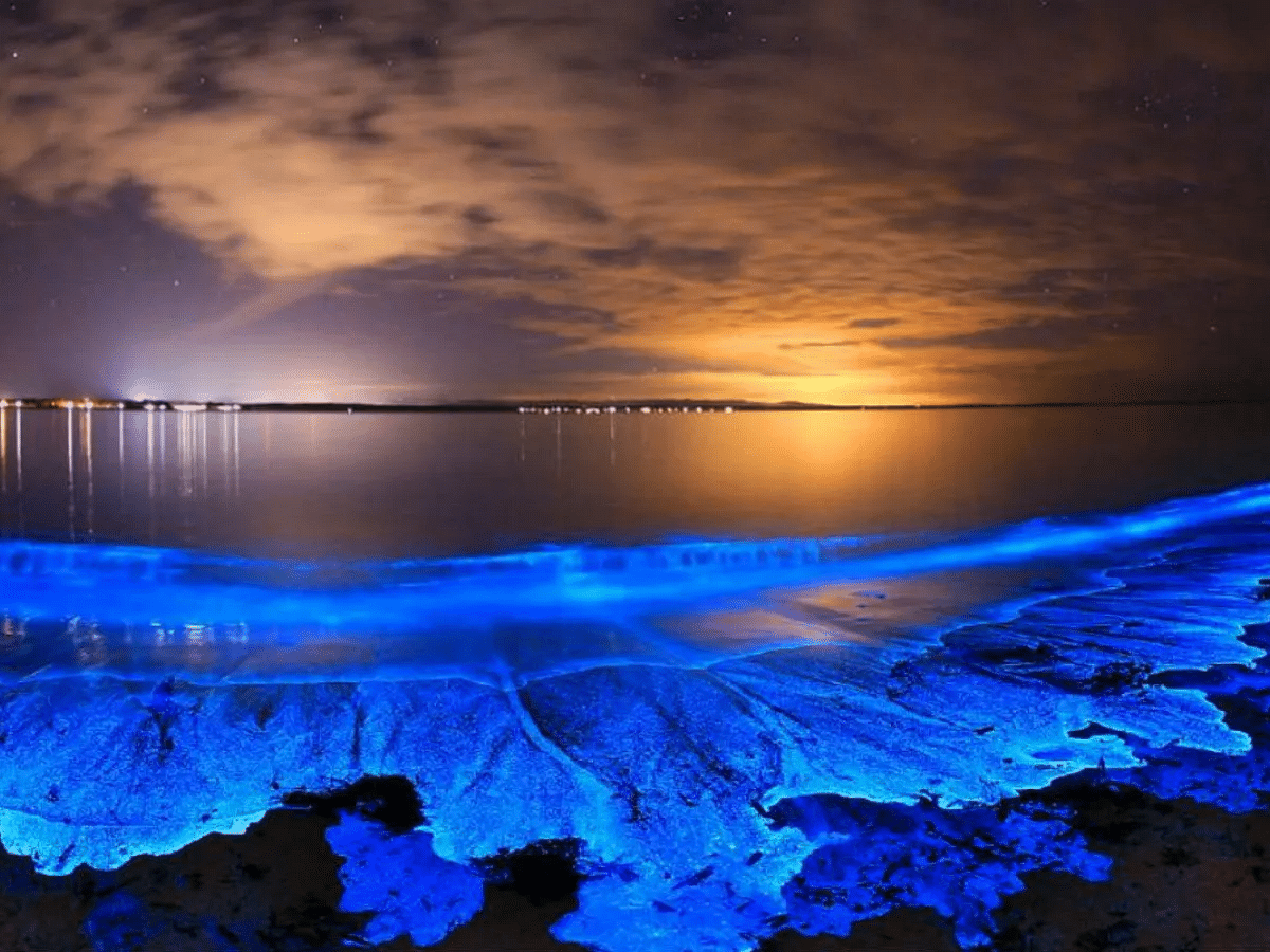 glowing-beaches-of-vaadhoo-island-in-maldives