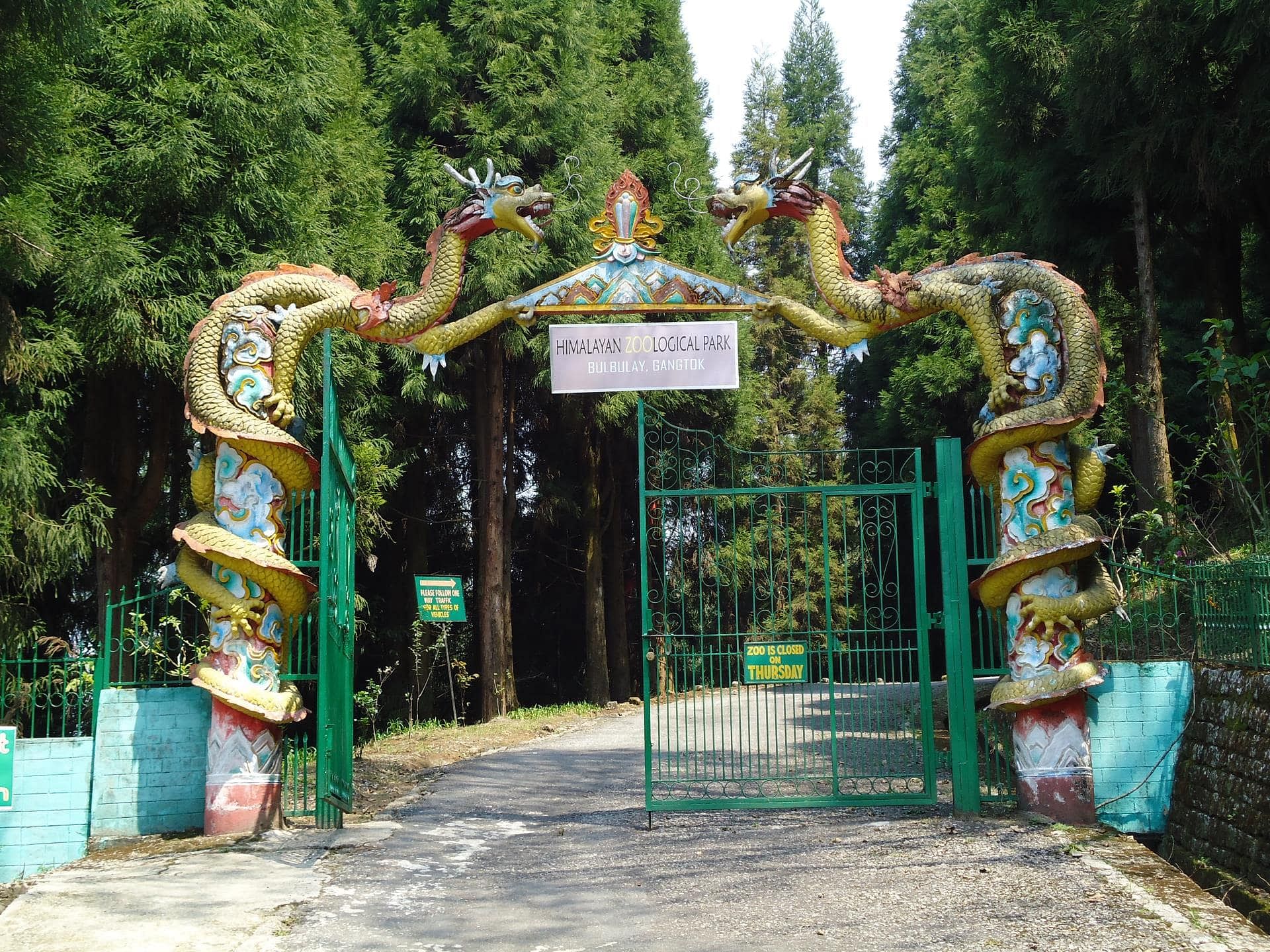 blog-images