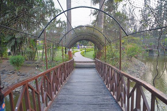 blog-images