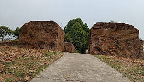 blog-images