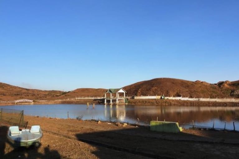 jarain-pitcher-plant-lake