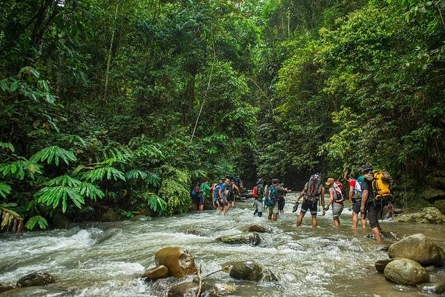 jungle-trekking-malaysia