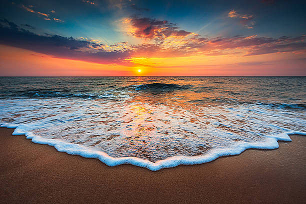 blog-images