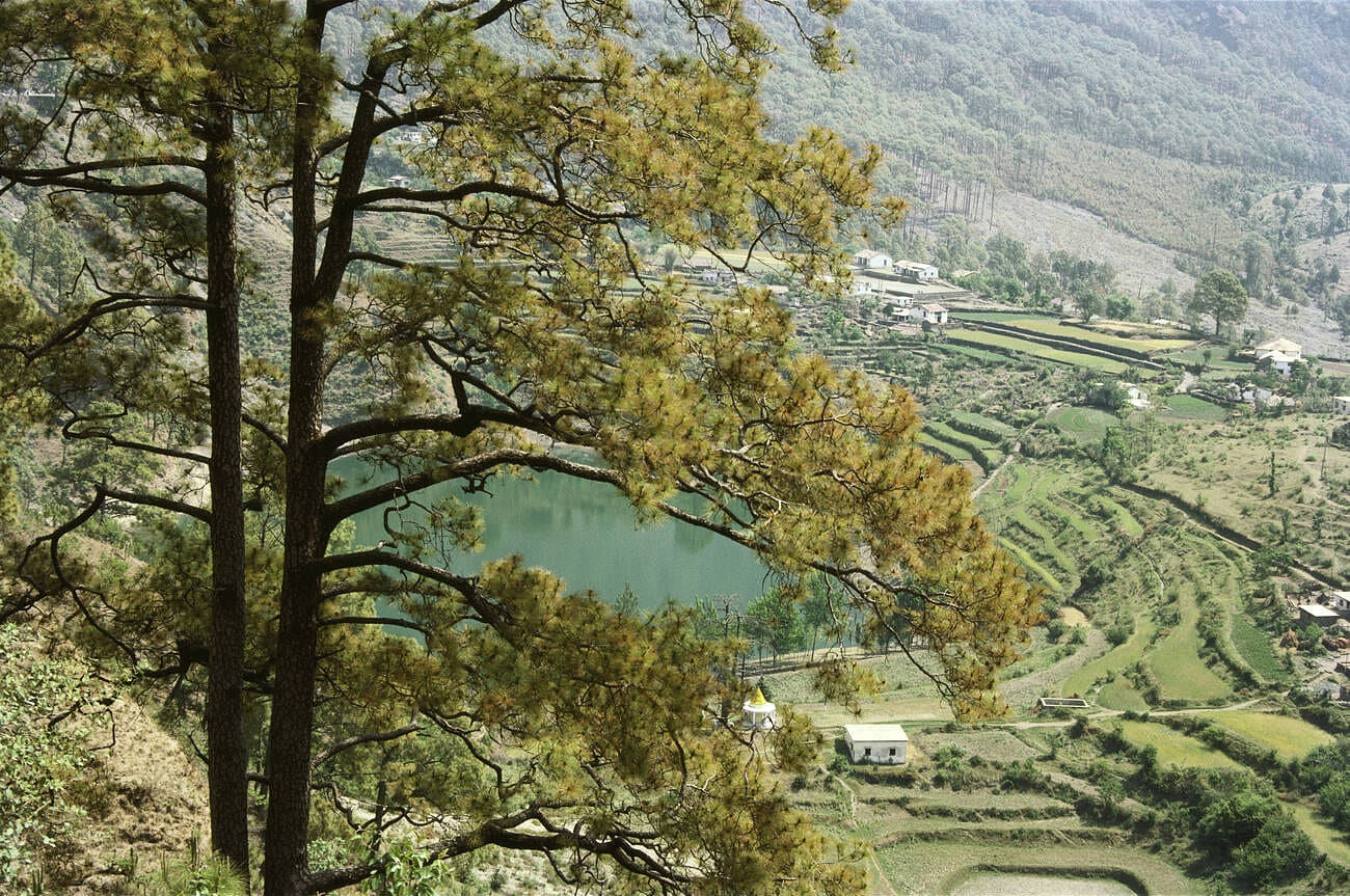 blog-images