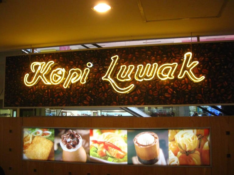 kopi-luwak-coffee-in-bali