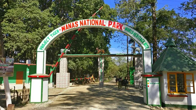 manas-national-park