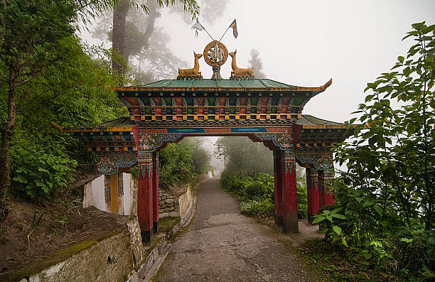blog-images