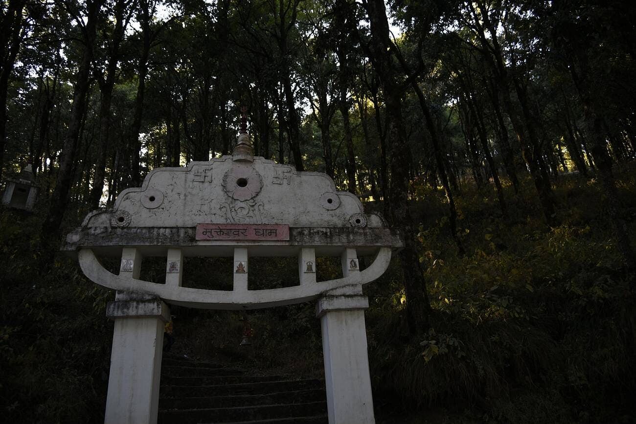 blog-images